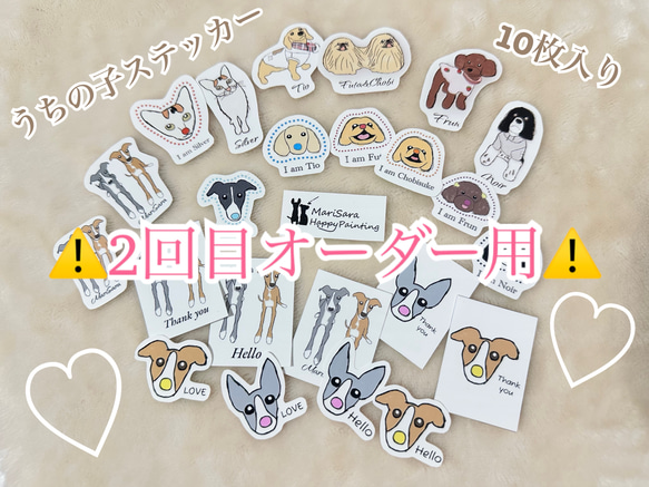 ⚠️2回目オーダー用⚠️うちの子ステッカーフレークシール シール 