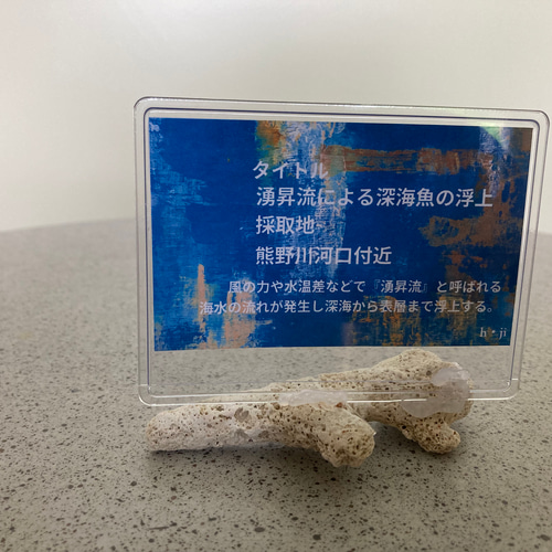 流木オブジェ(タイトル)湧昇流による深海魚の浮上 その他インテリア 