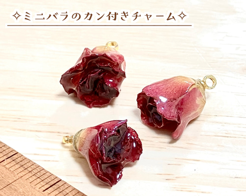 本物ドライフラワー✧ミニ薔薇のカン付きチャーム【1個
