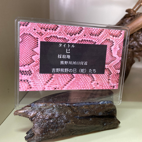 流木オブジェ(タイトル)巳 その他インテリア雑貨 ヒデ爺の工房 通販 