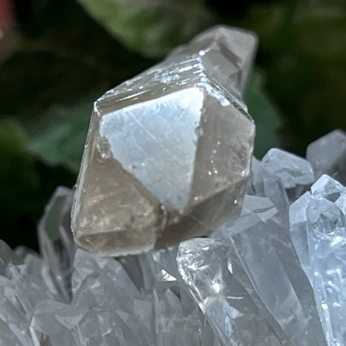 曲がり水晶　カーブド✨　スモーキー　レムリアンクォーツ　クリスタル　原石 曲がり水晶 カーブド✨ スモーキー レムリアンクォーツ