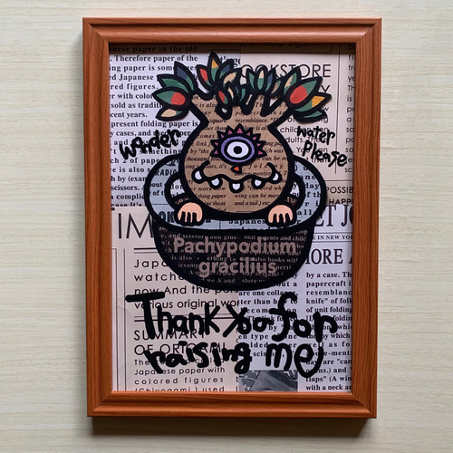ONO5s オノゴス 原画アート 2点セット 【グラキリス パキプス