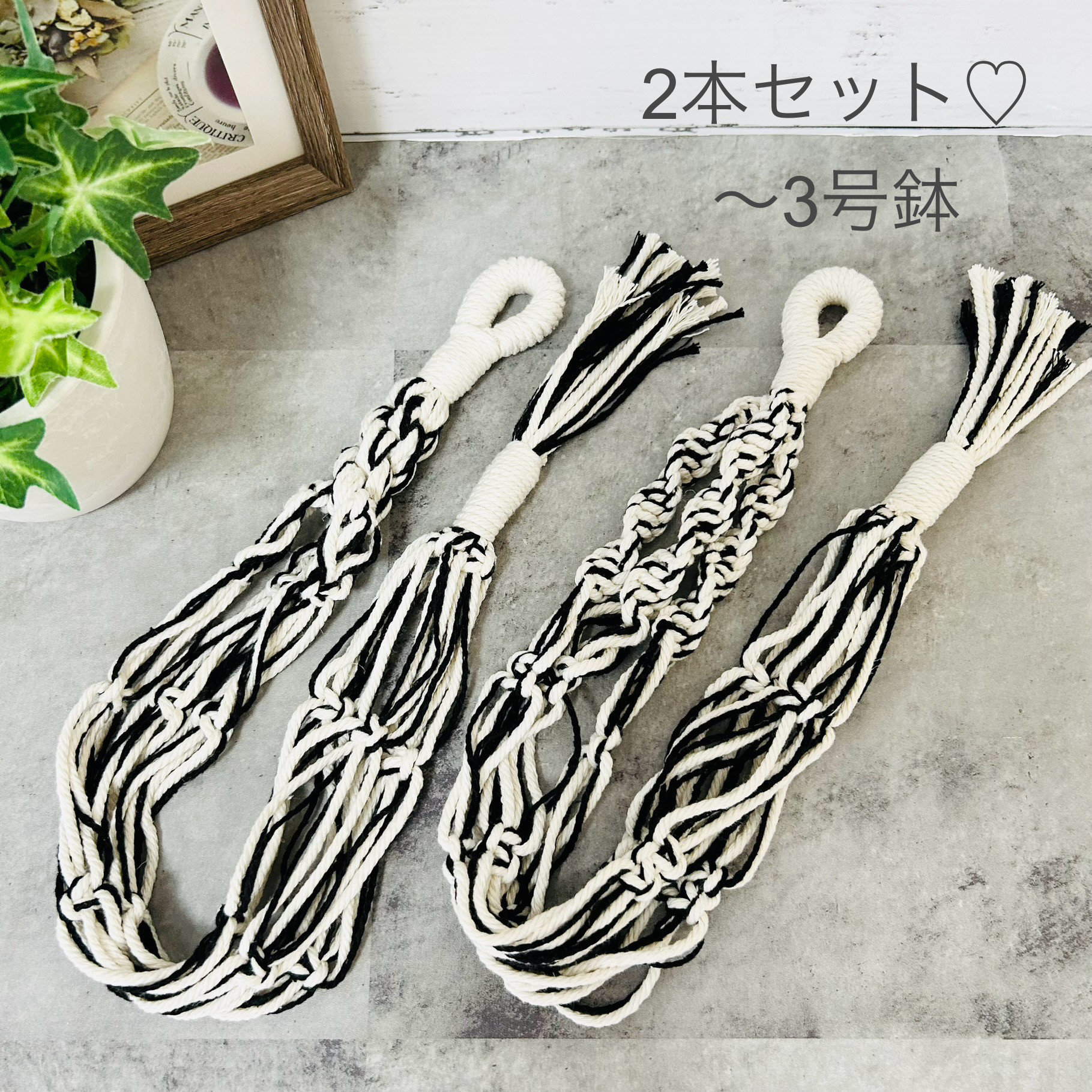 香草カラー B8 600g 香草カラー剤セット