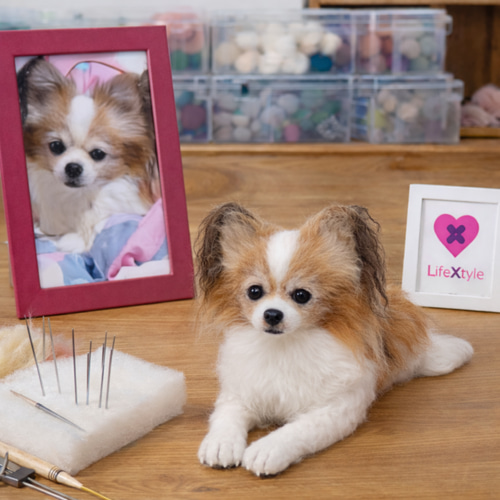 パピヨン うちの子 羊毛フェルト｜写真再現 オーダーメイド 羊毛