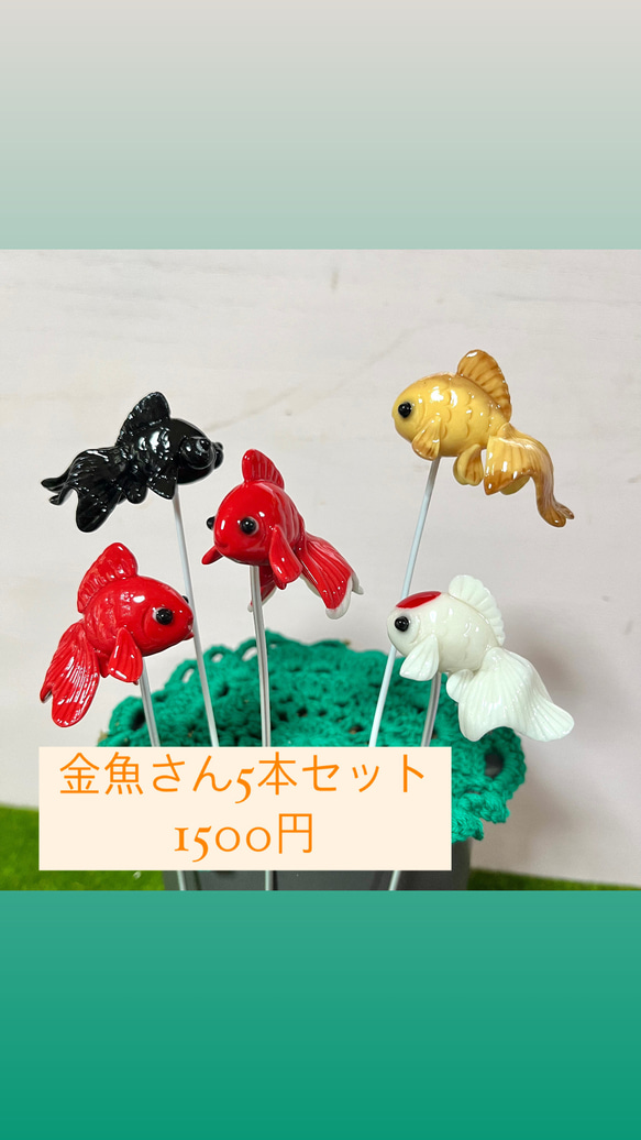 多肉植物寄せ植え〜樹脂粘土レジン(粘土細工)(金魚) 多肉植物 ち