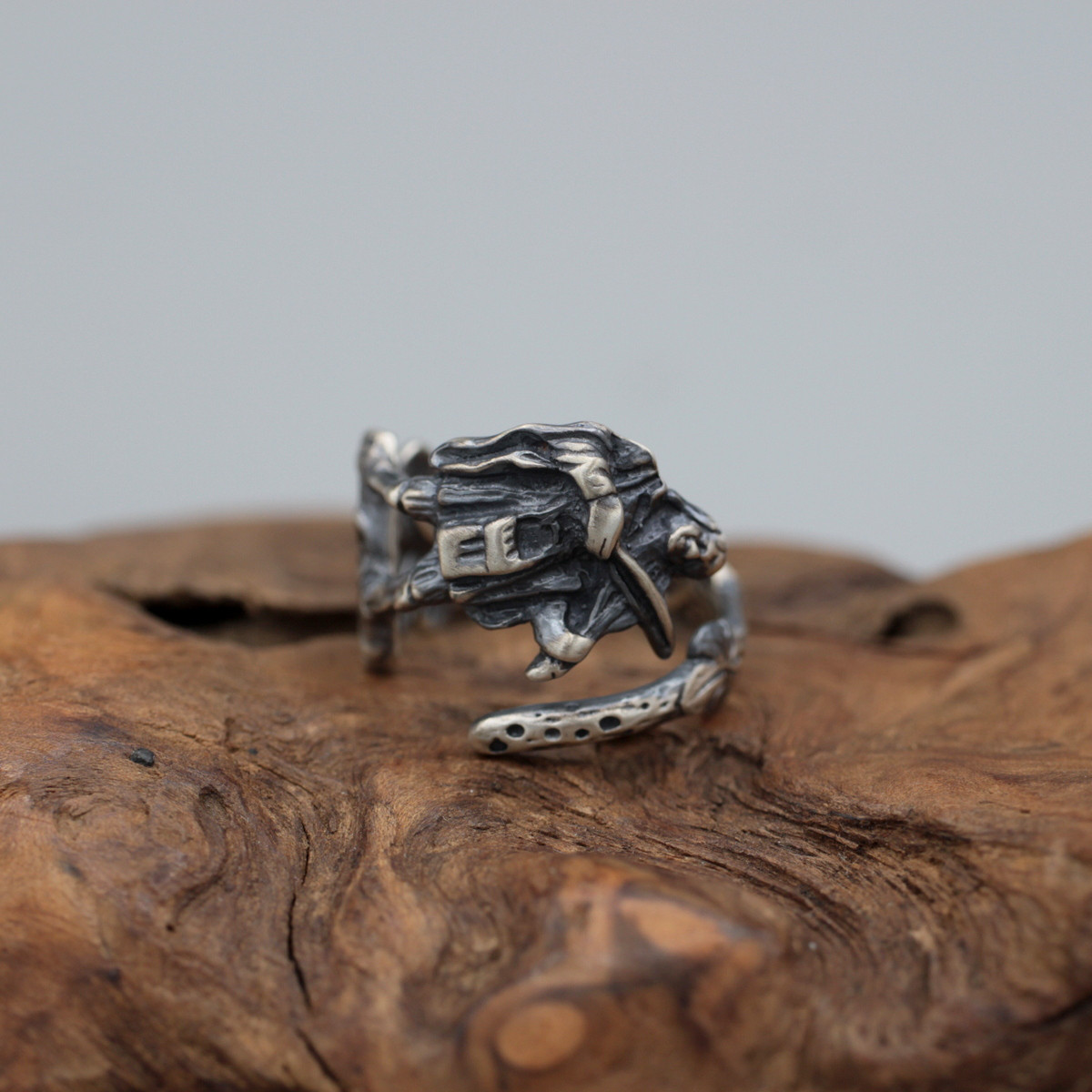 楽器隊＠ヴィオラ｜絡まる蔦｜シルバー｜ヴィンテージ｜スプーンリング｜オーケストラ｜音楽｜弦楽器｜ミュージック｜植物