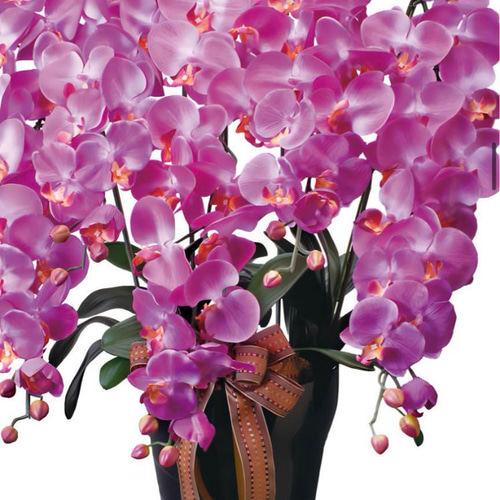 光触媒 人工観葉植物 ウォールグリーン フェイクグリーン ロイヤル胡蝶  