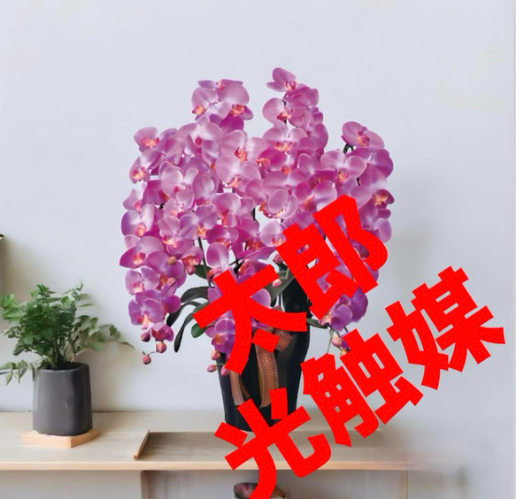 光触媒 人工観葉植物 ウォールグリーン フェイクグリーン ロイヤル胡蝶