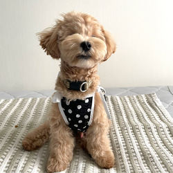 犬服ハンドメイドレモンです。 犬服！レモン柄タンクトップ☆XS.S.M.DXS.DS.DM ペット服