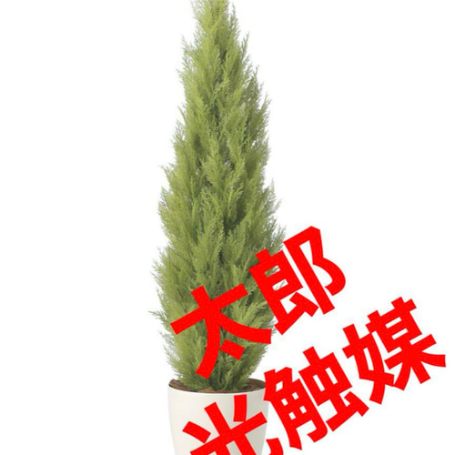 光触媒 人工観葉植物 フェイクグリーン ゴールドクレスト1.35 【公式通販】
