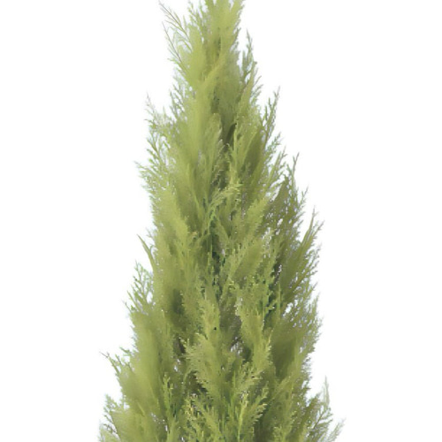 光触媒 人工観葉植物 ウォールグリーン フェイクグリーン ゴールド