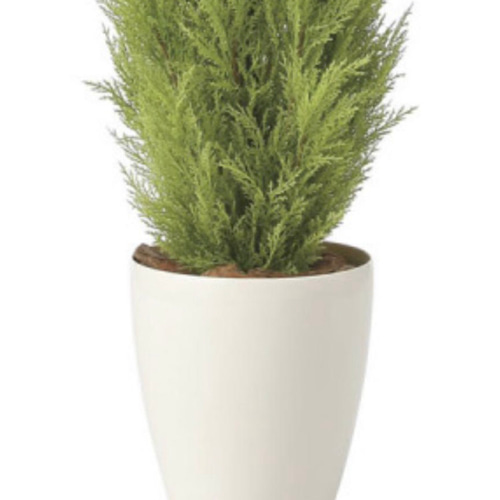 光触媒 人工観葉植物 フェイクグリーン ゴールドクレスト1.35 【公式通販】