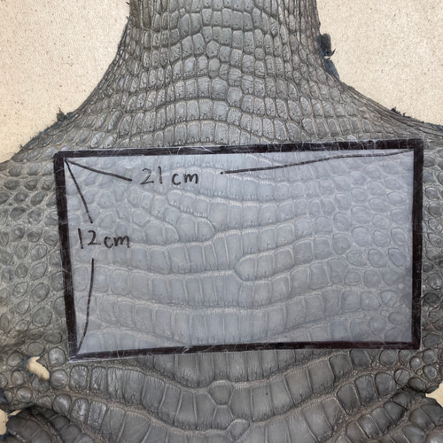 ☆特価品☆ クロコダイル ワニ革 グレージュ 一枚革_C38 その他素材