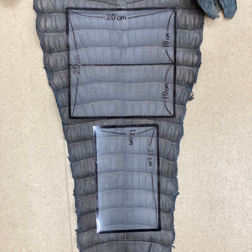 ☆特価品☆ クロコダイル ワニ革 グレージュ 一枚革_C38 その他