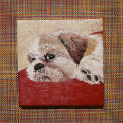 絵画 油絵 犬 シーズ img60063480.jpg