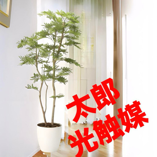光触媒人工観葉植物ウォールグリーンフェイクグリーンねむの木1.8