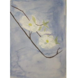 水彩画】ハナミズキ【原画】 絵画 いぬっち水彩 通販 17928140｜Creema