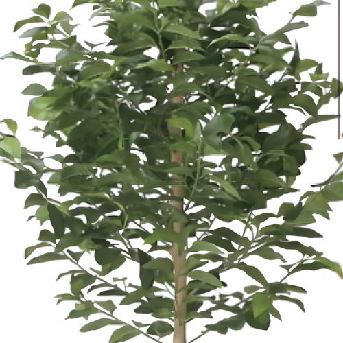 光触媒 人工観葉植物 ウォールグリーン フェイクグリーン レモン