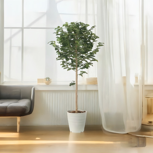 光触媒 人工観葉植物 ウォールグリーン フェイクグリーン レモン