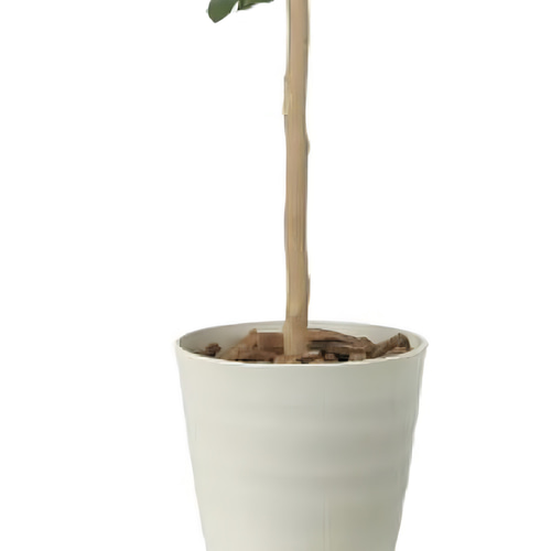 光触媒 人工観葉植物 ウォールグリーン フェイクグリーン レモン