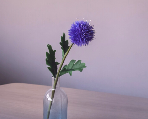 d53aa61227ade8172c02a4ad15f401