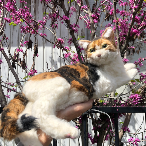 羊毛フェルト うちの子 オーダー 猫 犬 リアル猫 ミケ猫 オーダー  