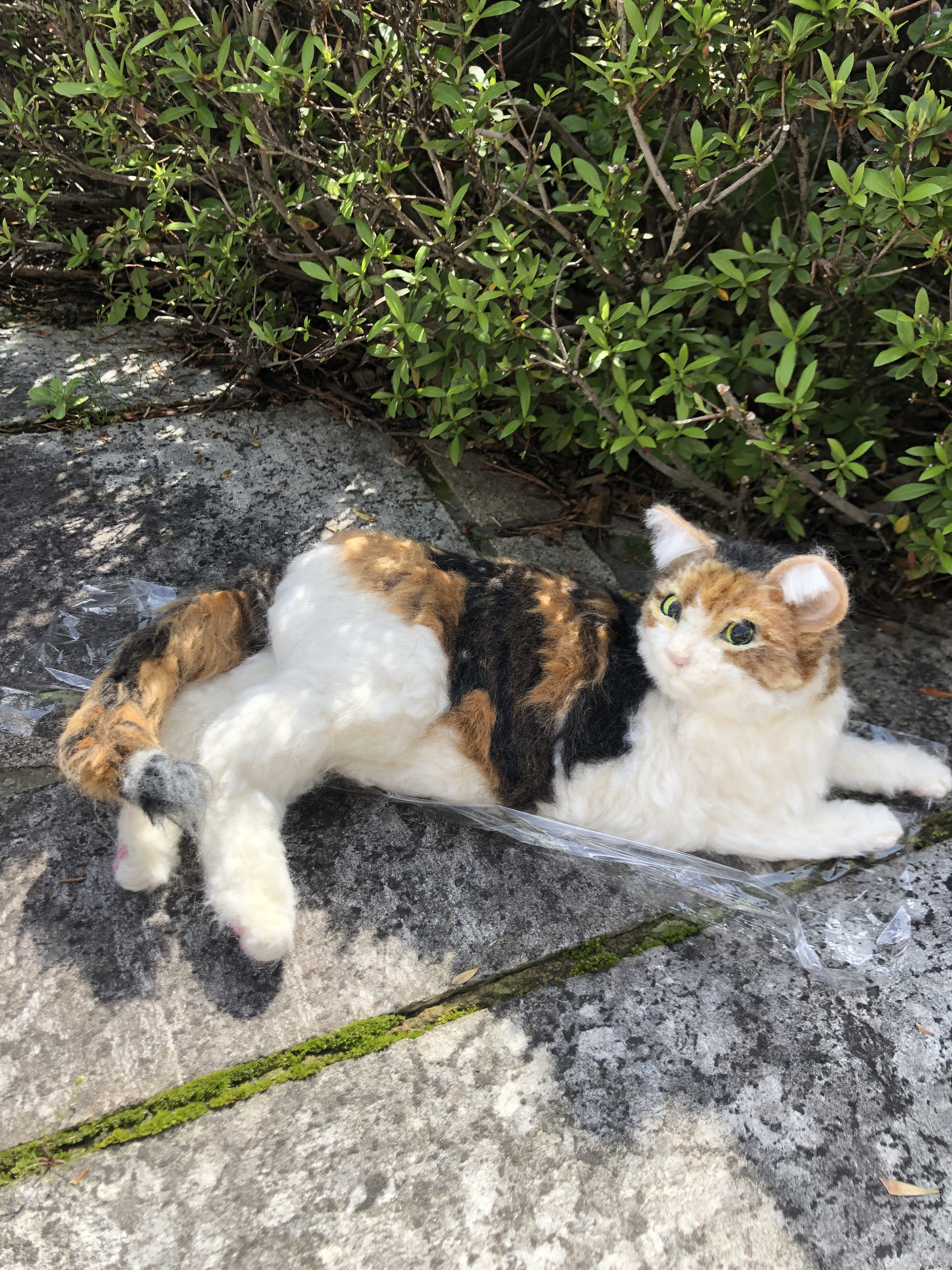 羊毛フェルト　うちの子　オーダー　猫　犬　リアル猫　ミケ猫　オーダーメイド