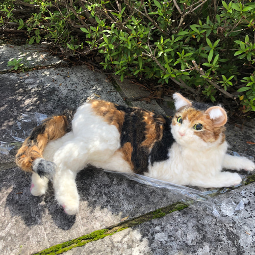羊毛フェルト　うちの子　オーダー　ミケ猫　リアル猫　猫人形 羊毛フェルトうちの子オーダーミケ猫リアル猫猫人形