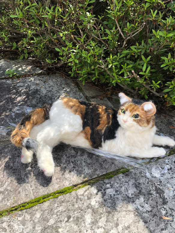 羊毛フェルト うちの子 オーダー 猫 犬 リアル猫 ミケ猫