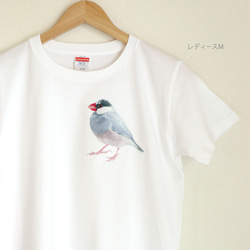インゴシマ Tシャツ 限定50名 インコ Tシャツ ポケット風 オカメインコ 小鳥 鳥 鳥好き 雑貨
