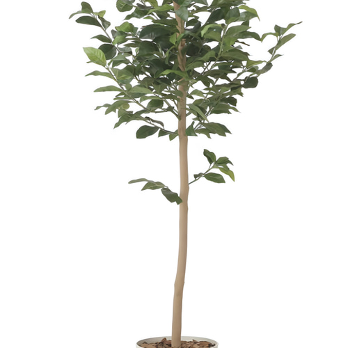 光触媒 人工観葉植物 ウォールグリーン フェイクグリーン レモンツリー