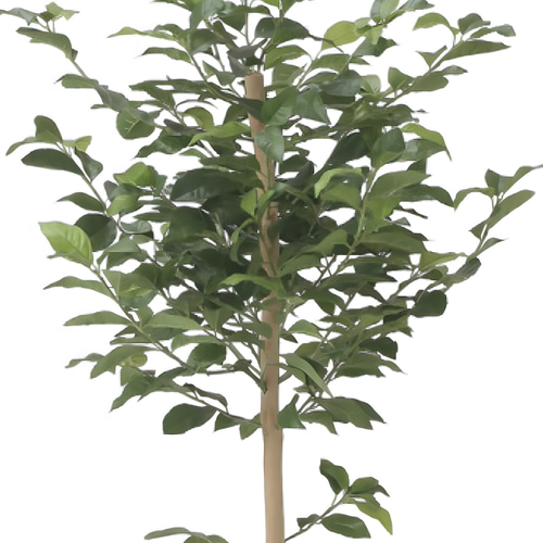 光触媒 人工観葉植物 ウォールグリーン フェイクグリーン レモンツリー