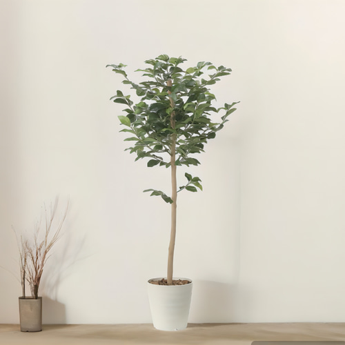 光触媒 人工観葉植物 ウォールグリーン フェイクグリーン レモンツリー