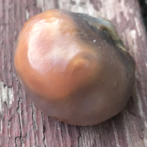 ゴビ石−1271 ゴビ瑪瑙 原石 オレンジ色 その他置物 KIKI 通販