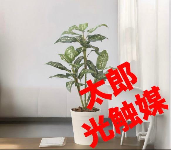 光触媒　人工観葉植物　ウォールグリーン　フェイクグリーン　ディフェンバキア90 光触媒 人工観葉植物 ウォールグリーン フェイクグリーン
