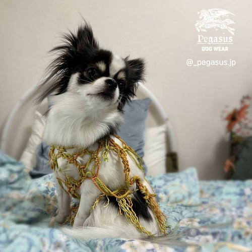 犬服　MM　ハンドメイド 新作 犬服ハンドメイド 真夏のマクラメクロシェTOP ペット服