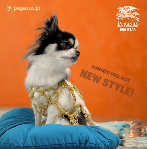 新作 犬服ハンドメイド 真夏のマクラメクロシェTOP ペット服