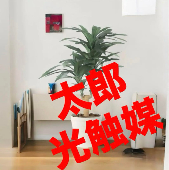 光触媒人工観葉植物フェイクグリーンドラセナジャネット1.0