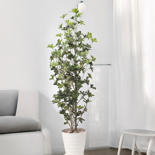 光触媒　人工観葉植物　ウォールグリーン　フェイクグリーン　シェフレラツリー1.7 光触媒 人工観葉植物 ウォールグリーン フェイクグリーン シェフレラ