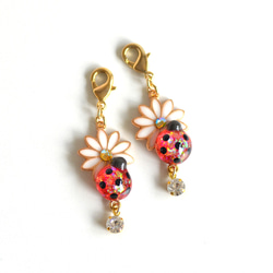 ☆てんとう虫チャーム(キラキラ) 2枚目の画像