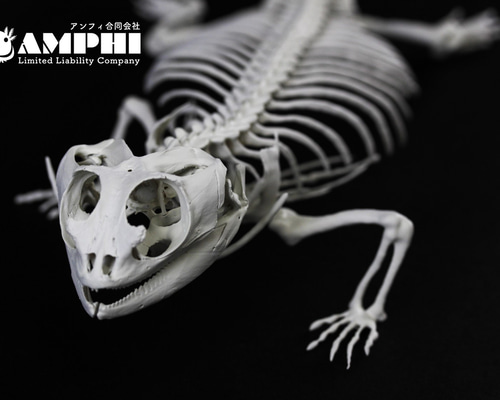 287e7973bd0dbbe70b21dc75dd58b1