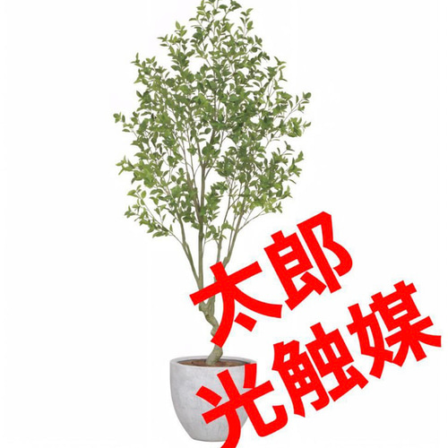 光触媒　人工観葉植物　ウォールグリーン　フェイクグリーン　パリスクイーン 光触媒人工観葉植物ウォールグリーンフェイクグリーンパリスクイーン