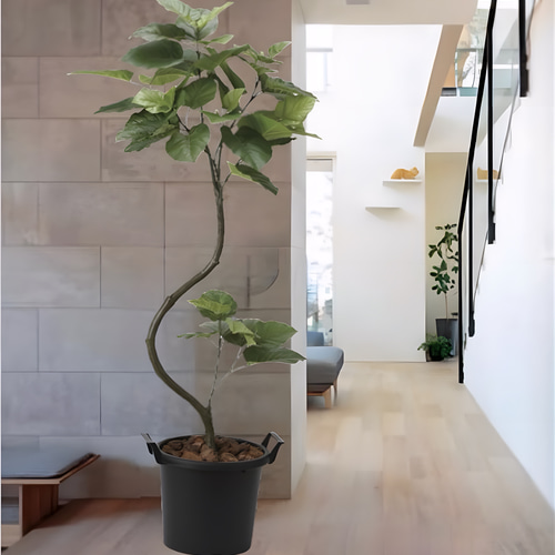 光触媒 人工観葉植物 フェイクグリーン インテリアウンベラータ1.65