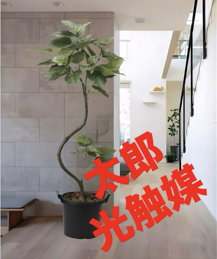 光触媒　人工観葉植物　ウォールグリーン　フェイクグリーン　アセビ175@ 光触媒 人工観葉植物 ウォールグリーン フェイクグリーン アセビ