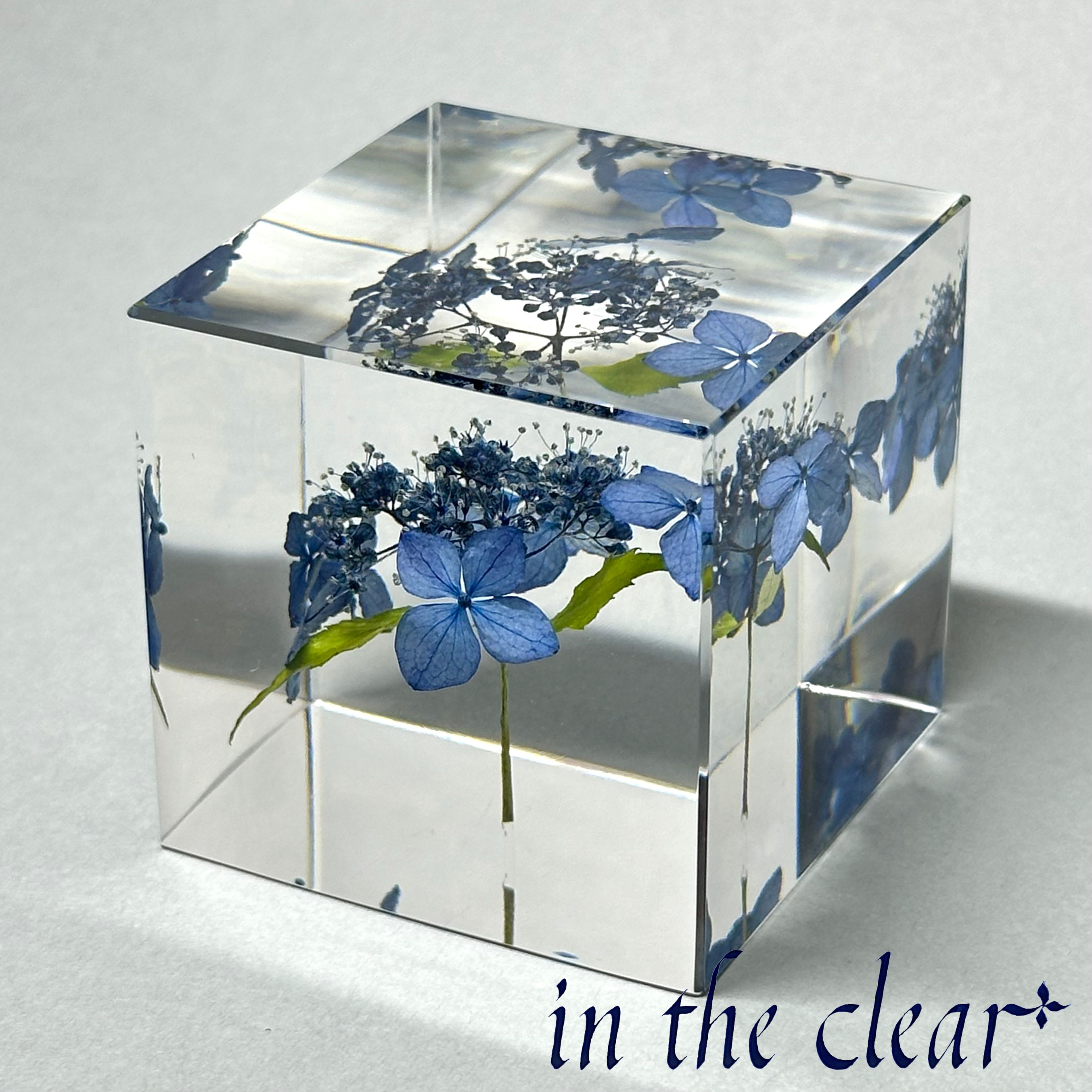 花の掛軸 青緑色