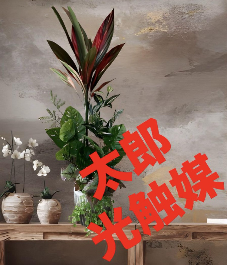 光触媒　人工観葉植物　ウォールグリーン　フェイクグリーン　ドラセナアレンジ85