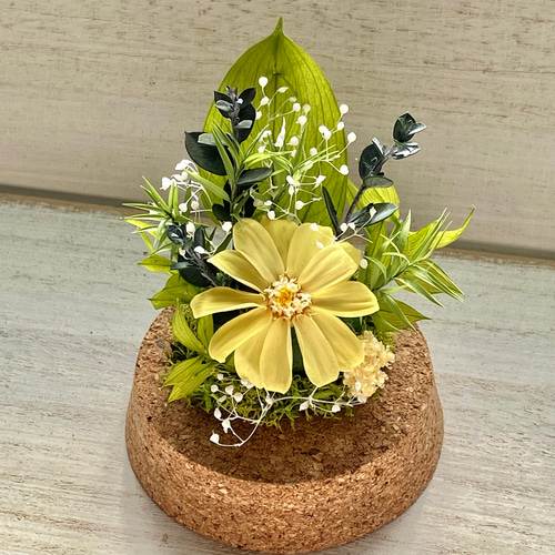 プリザーブドフラワー ジニア アレンジメント 花 ギフト ガラスドーム