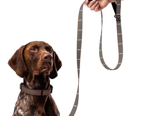 【未使用】LOUIS VUITTON ペット用　リード中型犬　プレゼント　ギフト ルイヴィトン リード ペット牽引縄牽引ロープ犬用リード 首輪