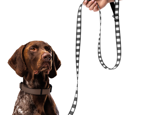 97ecea48f23ee32a8e0b437d7c63d5