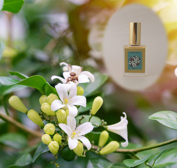再販】リアル 和ジャスミン 15ml 生花の再現 天然香料 調香師手作り